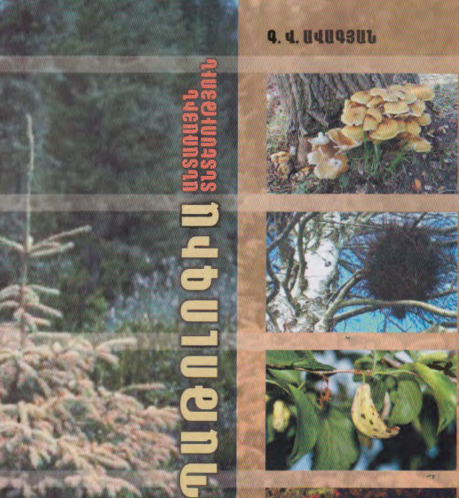 Ֆիտոպաթոլոգիա. Անտառային տնտեսություն