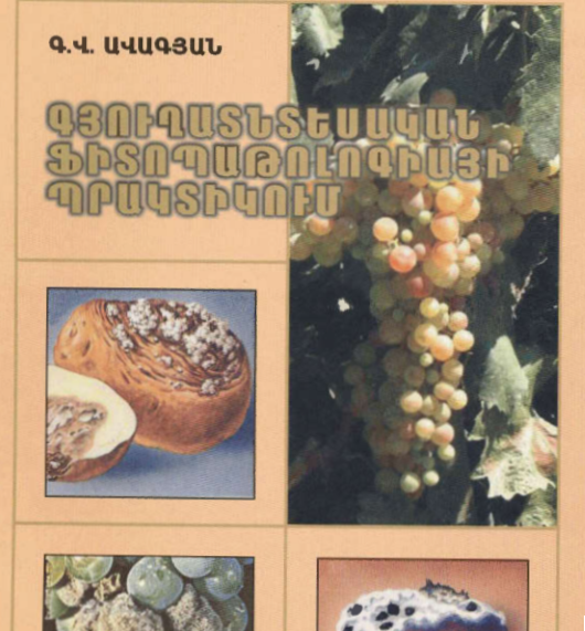 Գյուղատնտեսական ֆիտոպաթոլոգիայի պրակտիկում