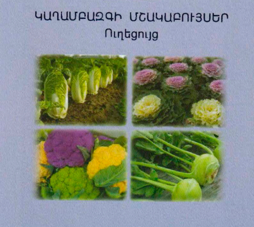 Կաղամբազգի մշակաբույսեր. Ուղեցույց