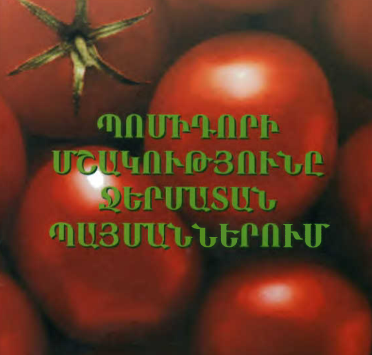 Պոմիդորի մշակությունը ջերմատան պայմաններում