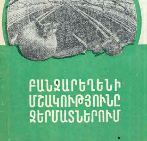 Բանջարեղենի մշակությունը ջերմատներում