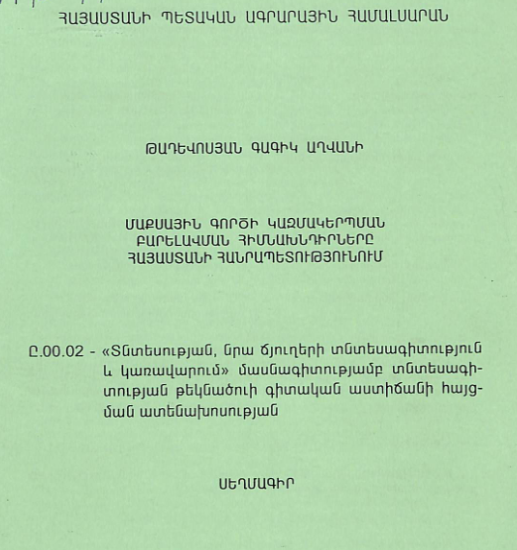 Մաքսային գործի կազմակերպման բարելավման հիմնախնդիրները Հայաստանի Հանրապետությունում