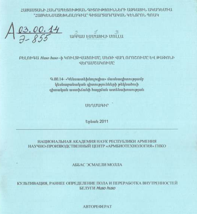 Культивация, раннее определение пола переработка внутренностей Белуги Huso huso 