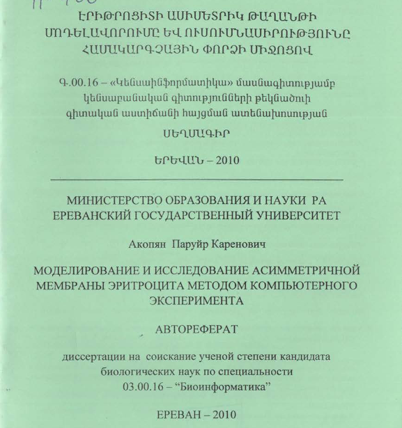 Моделирование и исследование асимметричной мембраны эритроцита методом компьютерного эксперимента