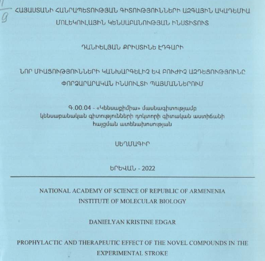 Prophylactic and therapeutic effect of the novel compounds in the experimental stroke