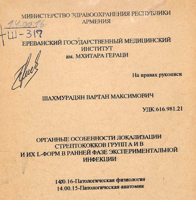 Органные особенности локализации стрептококков групп A и B и их L-форм в ранней фазе экспериментальной инфекции