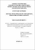 Տարրական դպրոցի ապագա ուսուցչի կոմբինատորային մտածողության զարգացման համակարգը