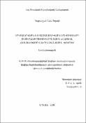 Երկմասնիկային և բազմամասնիկային երևույթների ուսումնասիրությունը գնդային և աքսիալ համաչափություններով քվանտային կետերում