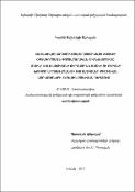 Համակցված ազդեցությամբ յուբիվաքս քսուքի օգտագործման փորձարարական հիմնավորումը մաշկի II-III-ա աստիճանի ջերմային և մաշկի ու բերանի խոռոչի լորձաթաղանթի աստիճանի քիմիական այրվածքների տեղային բուժման դեպքում