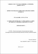 ՀՀ Լոռու մարզի փոքր քաղաքների արդիականացման և կայուն զարգացման ճարտարապետահատակագծային խնդիրները / Architectural-planning problems of modernization and sustainable development of small towns in Lori