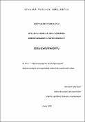 Արդի տեղեկատվական հասարակության սոցիոմշակութային գործառույթները
