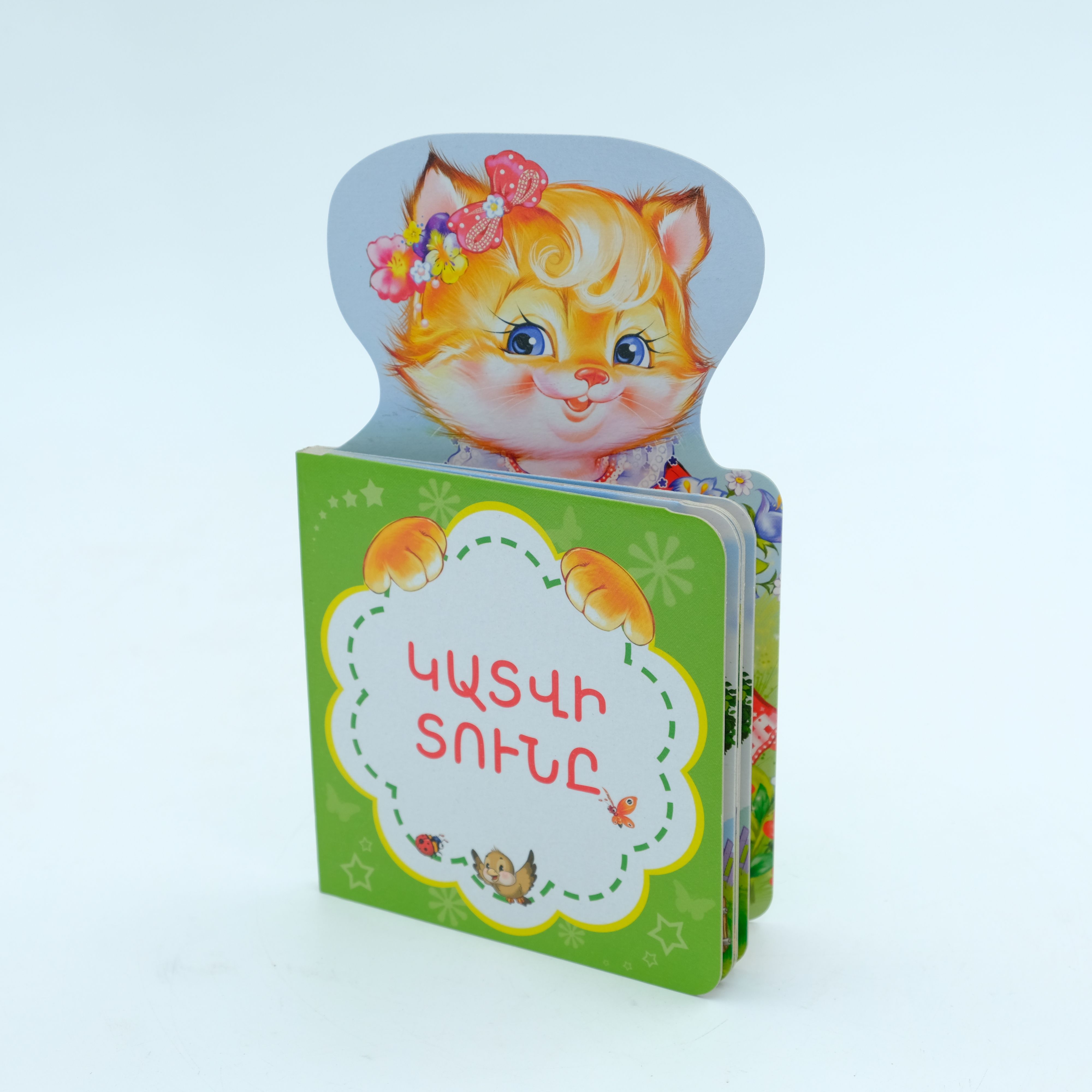 Կատվի տունը