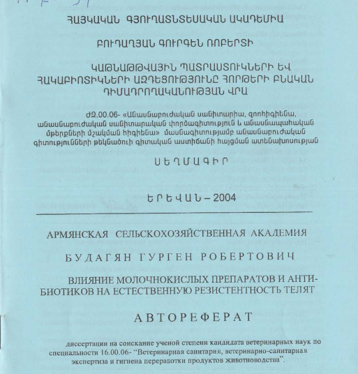 Կաթնաթթվային պատրաստուկների և հակաբիոտիկների ազդեցությունը հորթերի բնական դիմադրողականության վրա