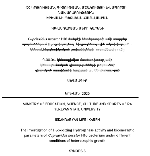 The investigation of H₂-oxidizing Hydrogenase activity and bioenergetic parameters of Cupriavidus necator H16 bacterium under different conditions of heterotrophic growth