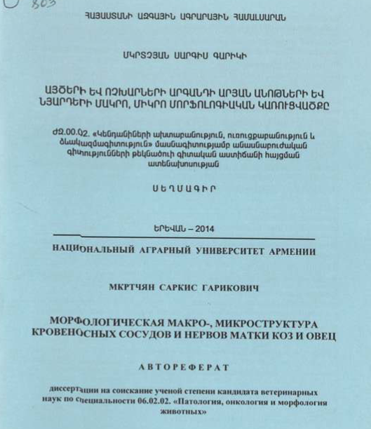 Այծերի և ոչխարների արգանդի արյան անոթների և նյարդերի մակրո, միկրո մորֆոլոգիական կառուցվածքը 