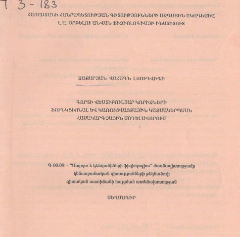 Компьютерное моделирование функциональной и структурной организации вестибулярных ядер лягушки