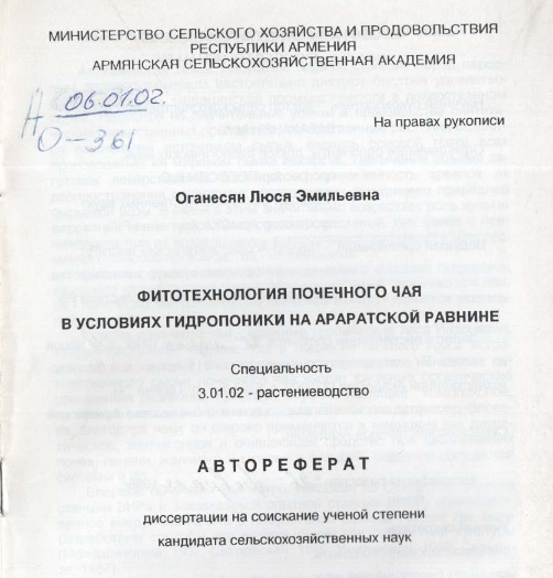 Фитотехнология почечного чая в условиях гидропоники на Араратской равнине