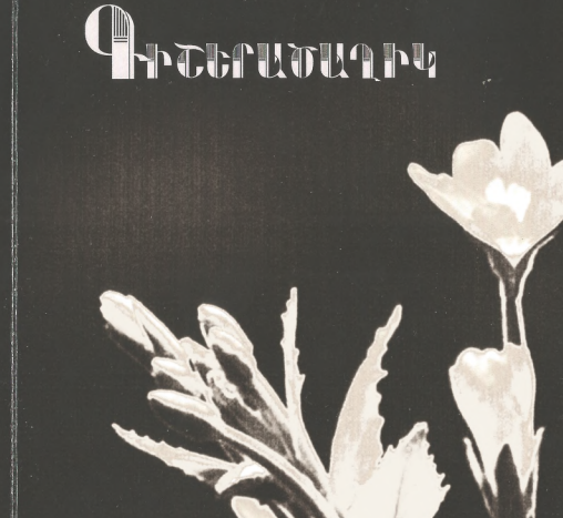 Գիշերածաղիկ