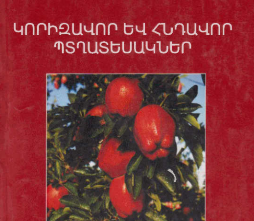 Կորիզավոր և հնդավոր պտղատեսակներ