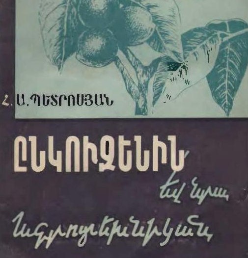 Ընկուզենին և նրա ագրոտեխնիկան