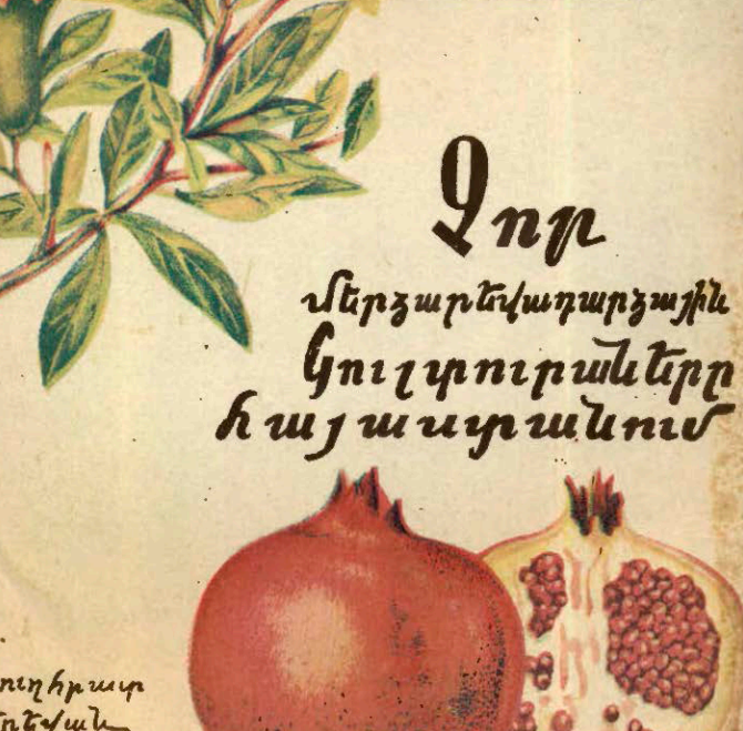 Չոր մերձարևադարձային կուլտուրաները Հայաստանում