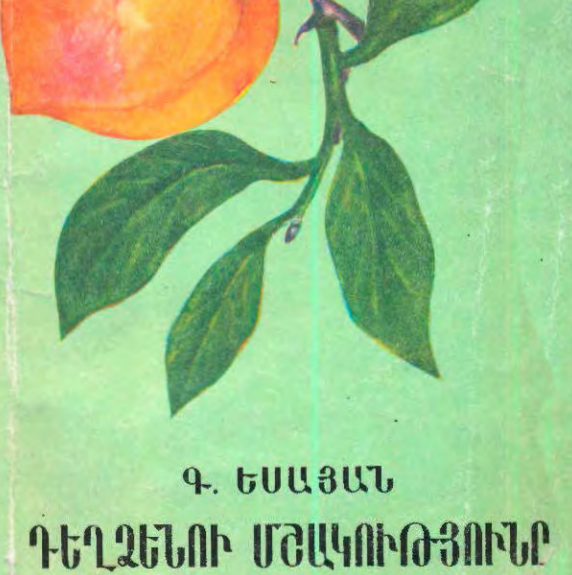 Դեղձենու մշակությունը