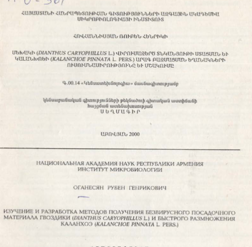Изучение и разработка методов получения без вирусного посадочного материала гвоздики (Dianthus caryophillus L.) и быстрого размножения каланхоэ (Kalanchoe pinnata L. pers.)
