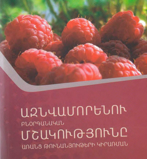 Ազնվամորենու բնօրգանական մշակությունը առանց թունանյութերի կիրառման