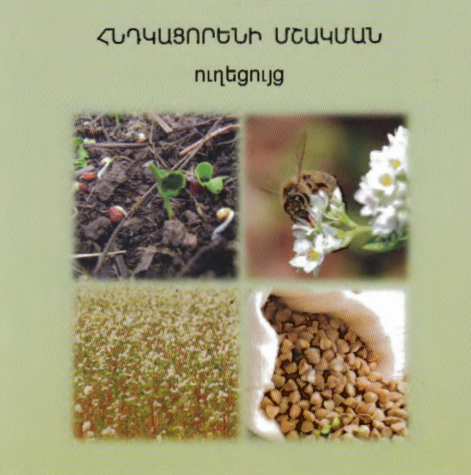 Հնդկացորենի մշակման ուղեցույց