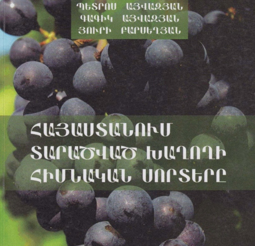 Հայաստանում տարածված խաղողի հիմնական սորտերը